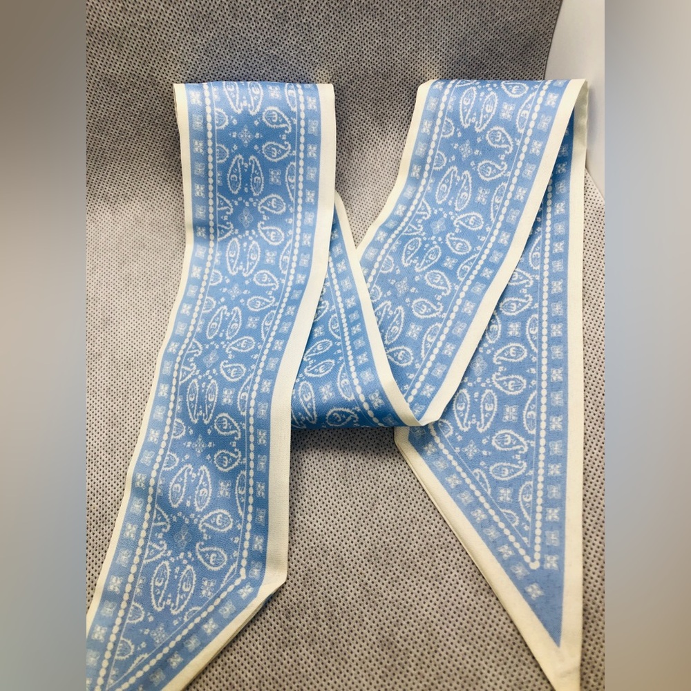 Sky Blue Paisley Twilly Scarf
